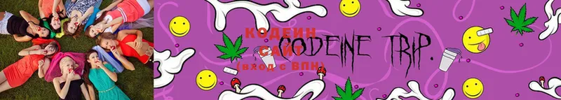 Кодеин Purple Drank Колпашево