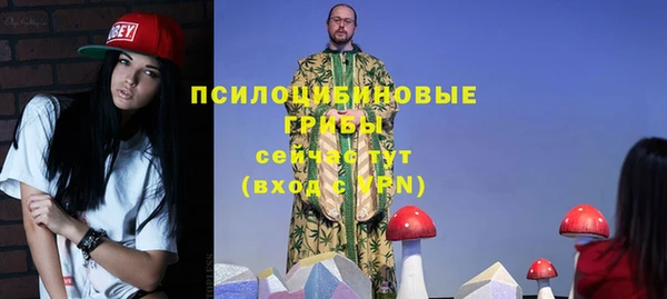 дурь Нефтегорск