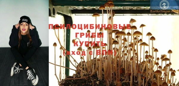 сатива Навашино