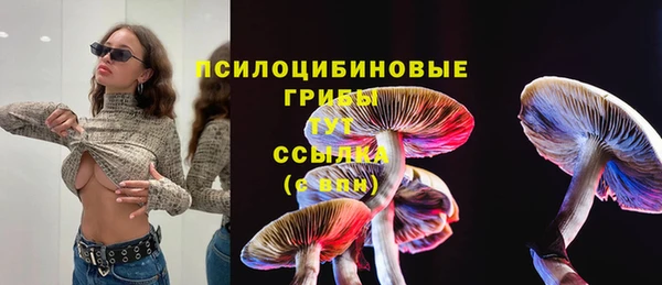 сатива Навашино