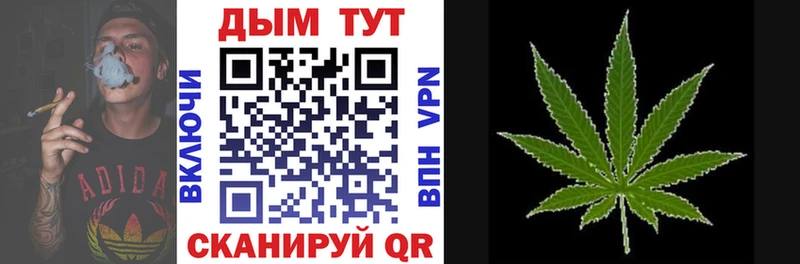 Марихуана Bruce Banner  Колпашево 